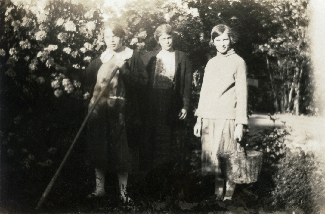 La cueillette sur l’île - Source : Collection famille J. H. Rowell, vers 1924